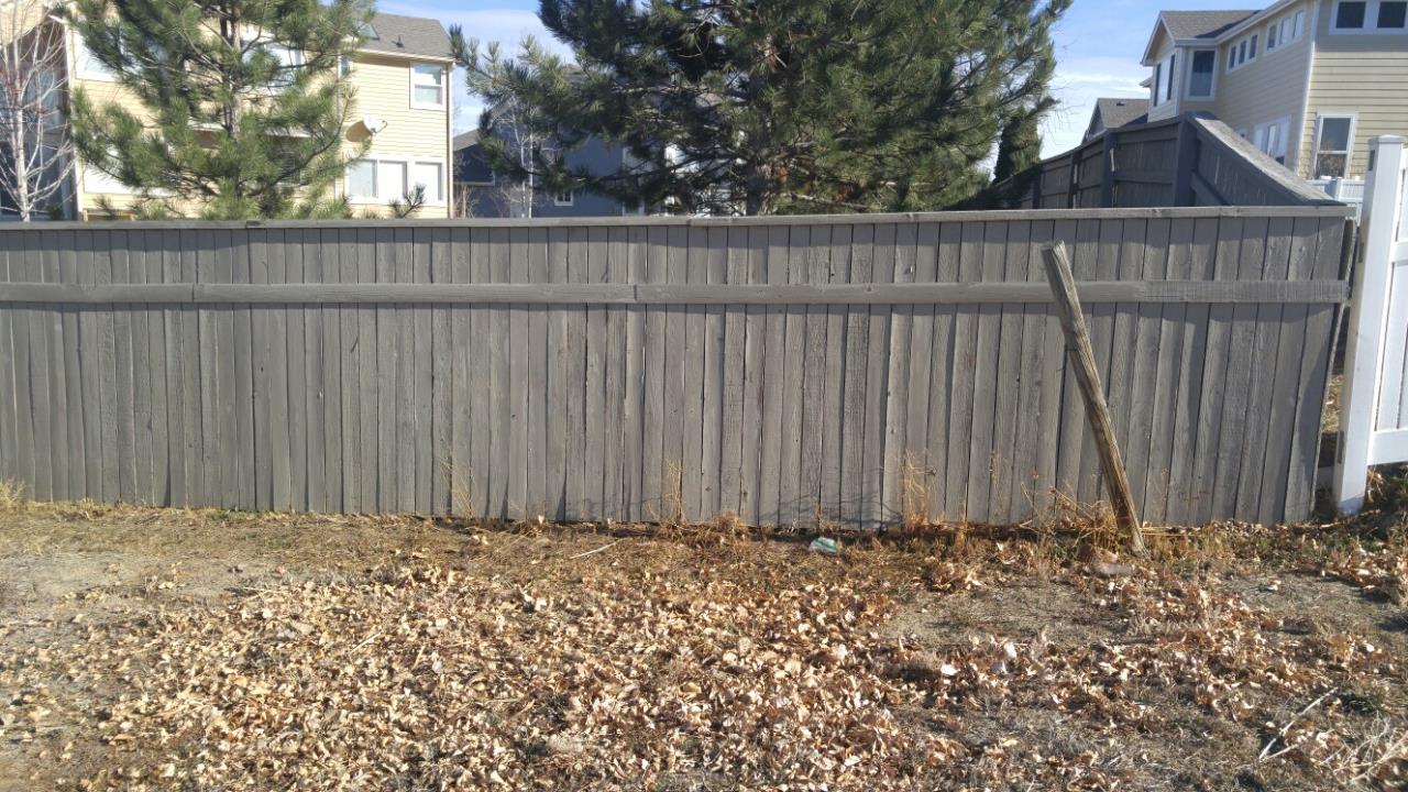 Green Fence After