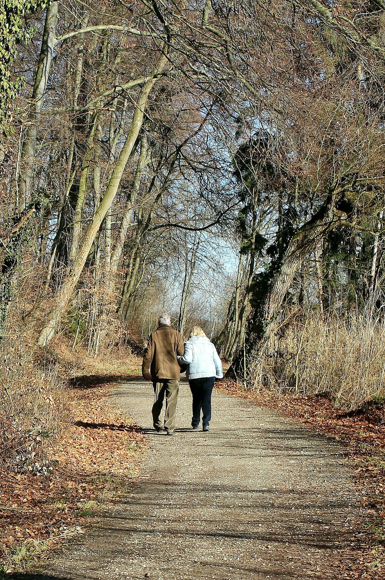 Couple Walking Away On a Trail