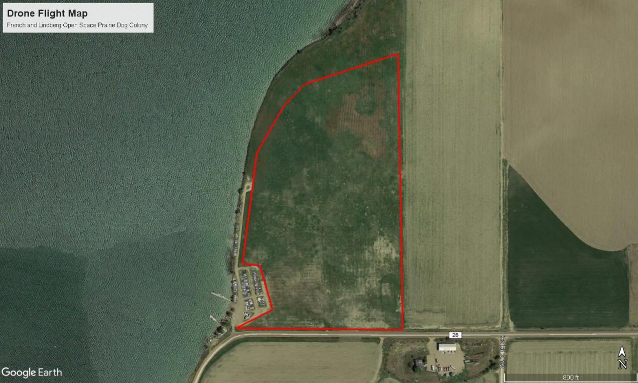 French Lindberg Open Space Prairie Dog Colony