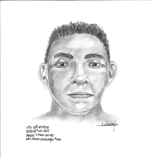 home invasion attempted sex assault