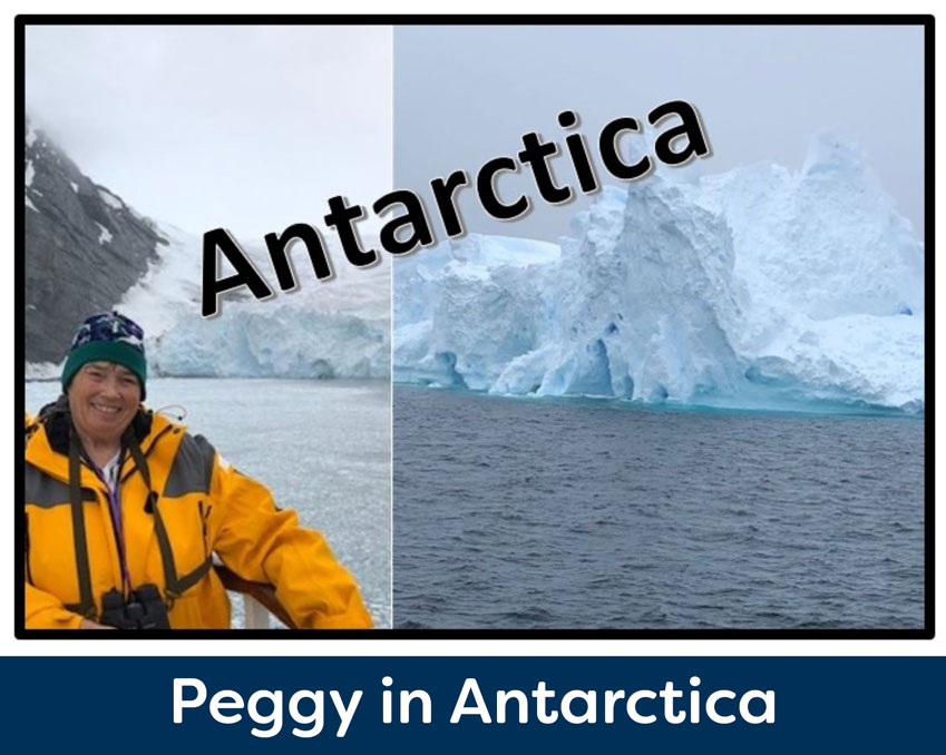 Peggy-antarctica-b