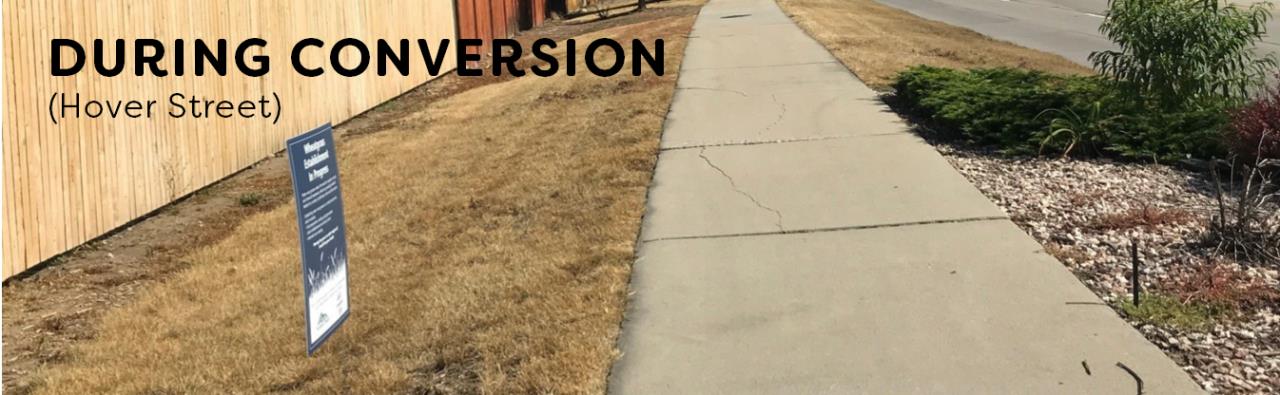 Dry grass is seen with a sign reading "Wheatgrass Transition in Progress"