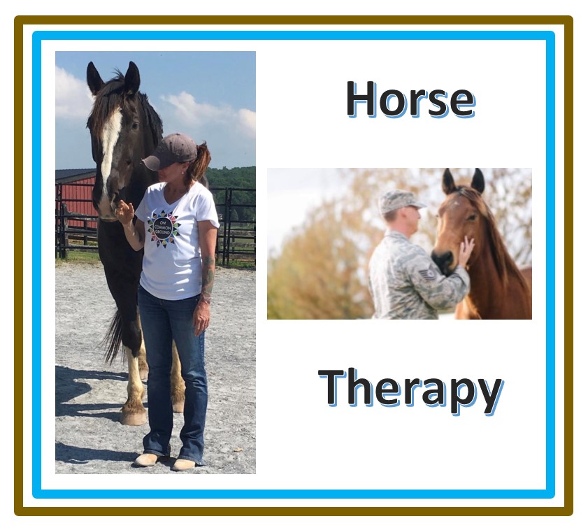Horse therapy