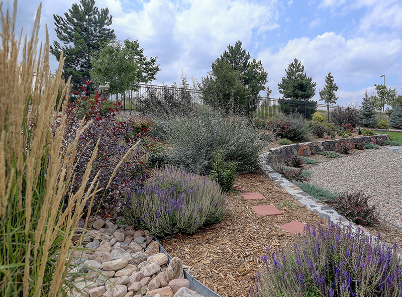 xeriscaping, community