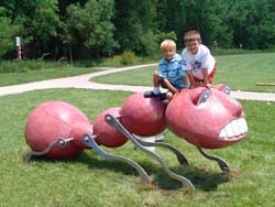 Art: Picnic In Lefthand Park