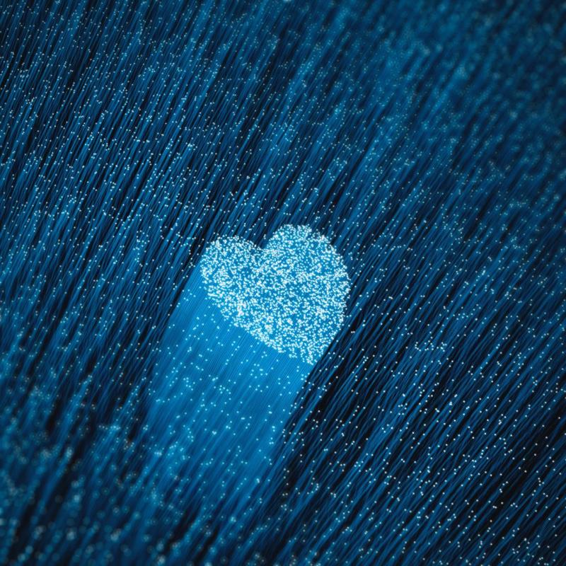 Why Fiber Shines