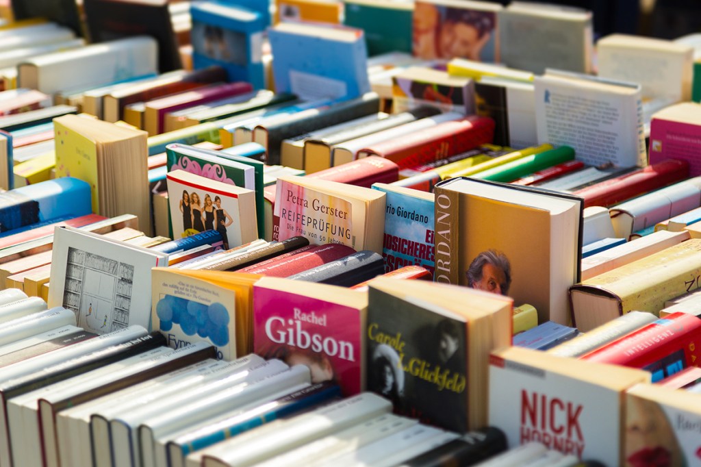 Unleash your love for literature at Friends of the Longmont Library Book Sale 