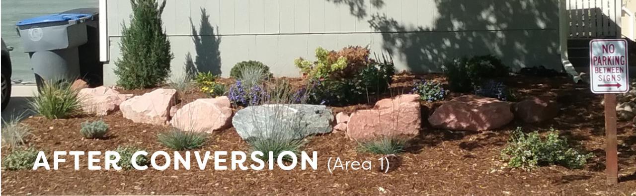 Tree, rock and mulch is seen in front a home