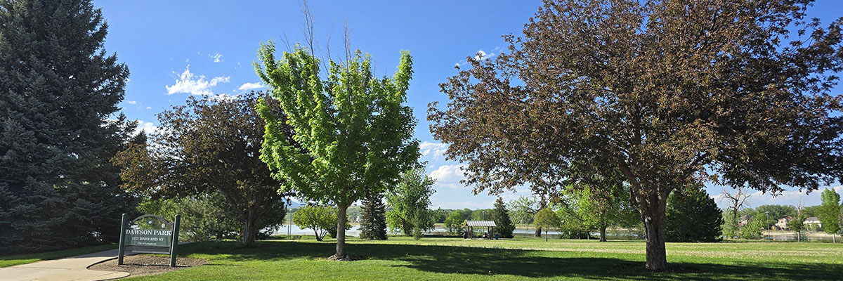 The green grass and variety of trees at Dawson Park are pictured with McIntosh Lake seen in the background.