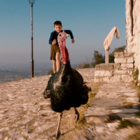 Boy chasing turkey