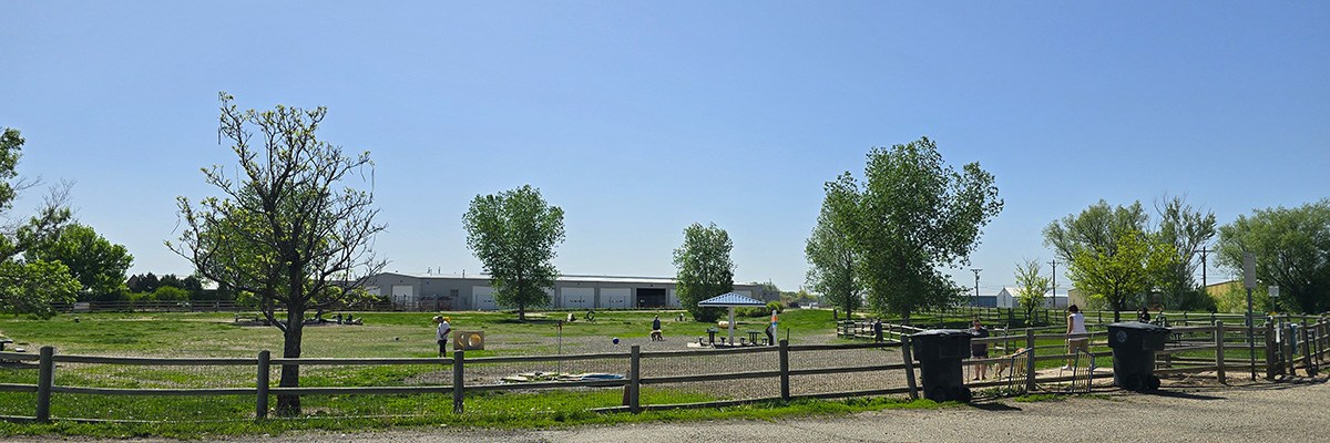 The fence around dog park #2 can be seen with a cloudless sky in the background.