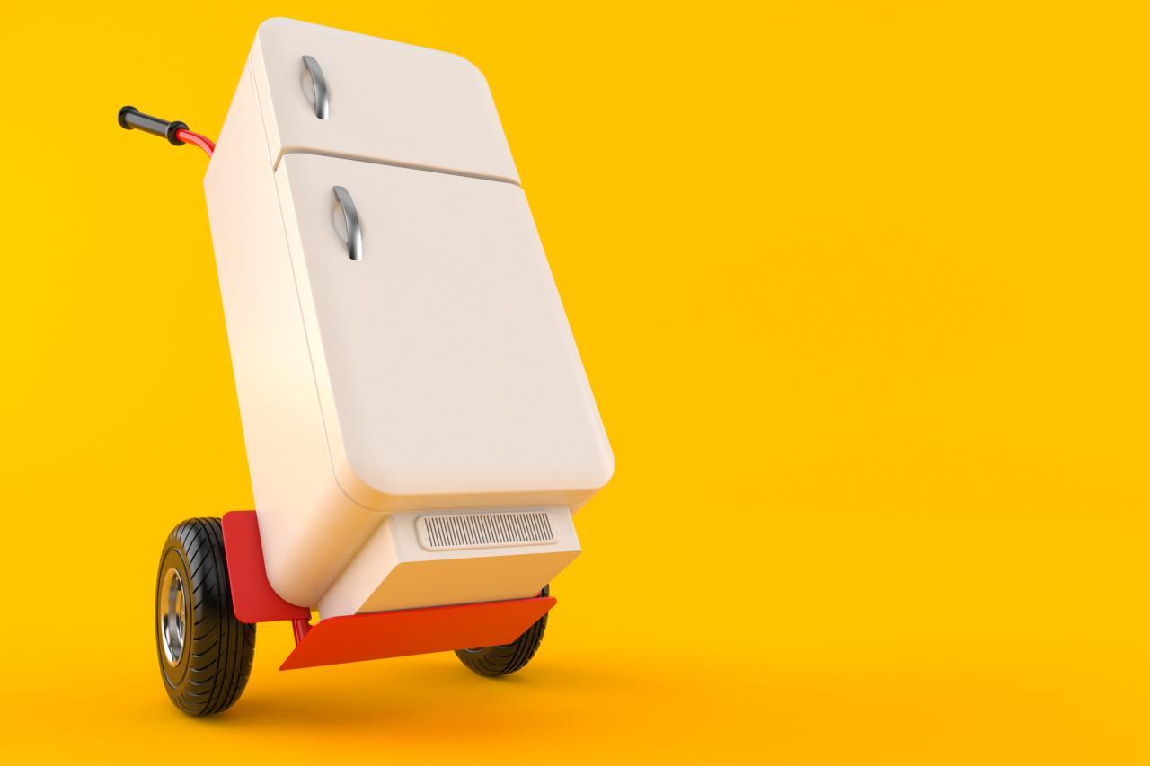 Fridge on Dolly