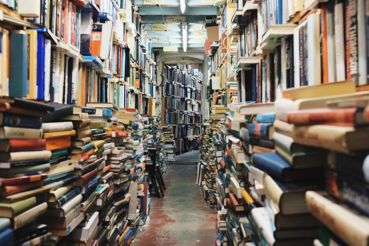 Full Library Shelves