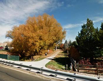 Lefthand Creek Greenway1