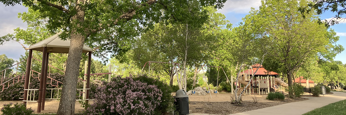 Lefthand Creek Park's play area is surround by a variety of bushes and trees on a sunny day.