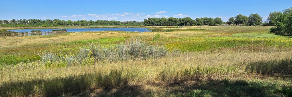 St. Vrain Greenway