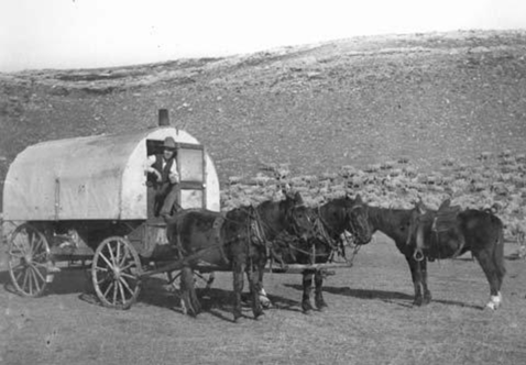 Historic shepherd's wagon being pulled by horses