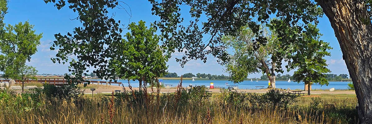The Union Reservoir is seen from the south side, looking past tall grass and leafy green trees.