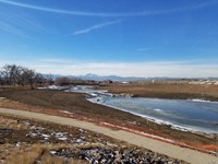 frozen creek with geese along the banks