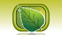Leaf icon