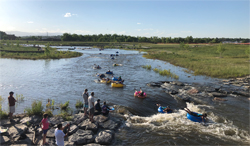 group of tubers in the creek