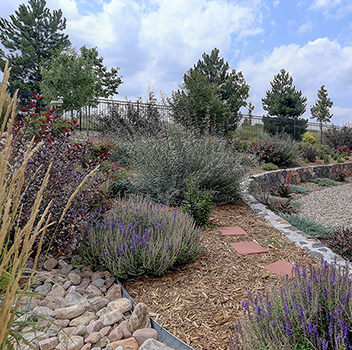 xeriscaping, community