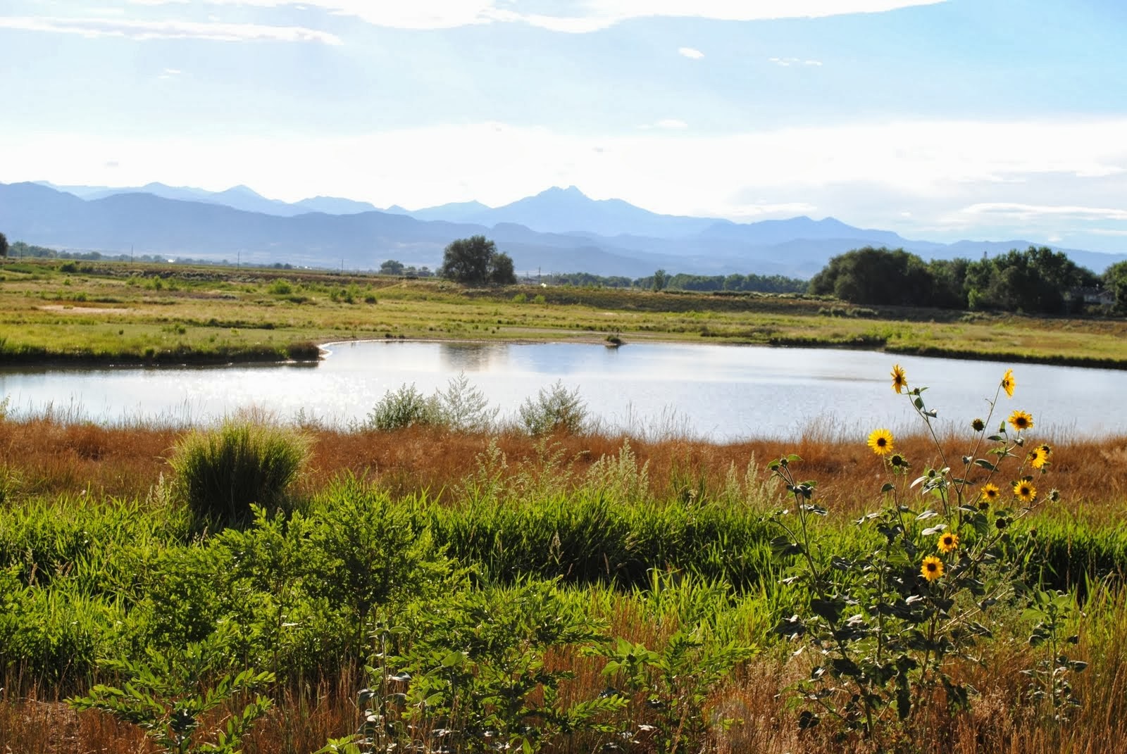 View of Front Range mountains and pond from Sandstone Ranch area