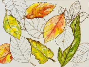 watercolor painting of fall leaves with ink drawing