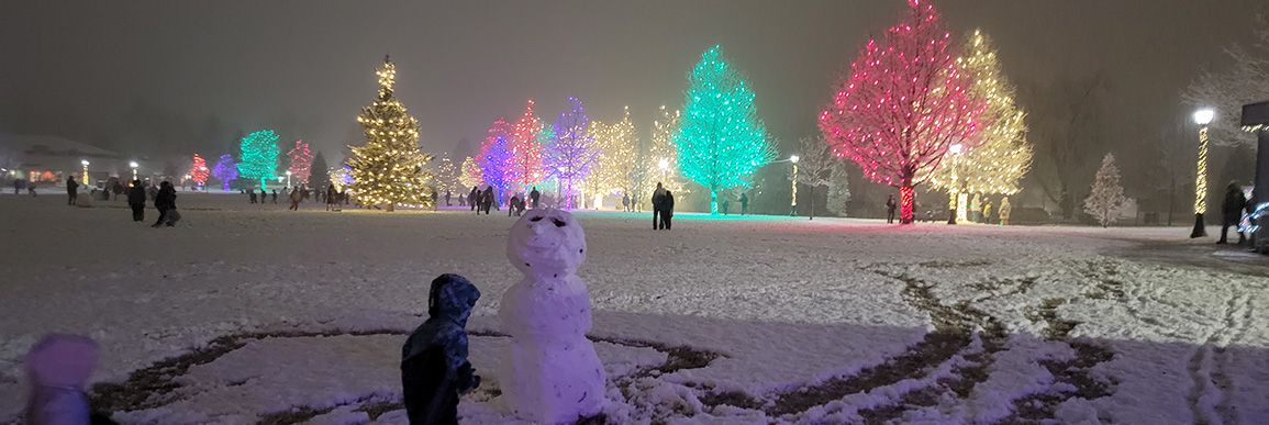 Light up trees in snow at Roosevelt Park with a snowman in the foreground.