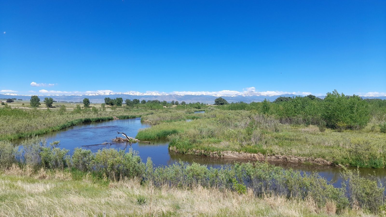 Picture of Peschel Open Space area with a bright blue sky, grassy foreground and stream.