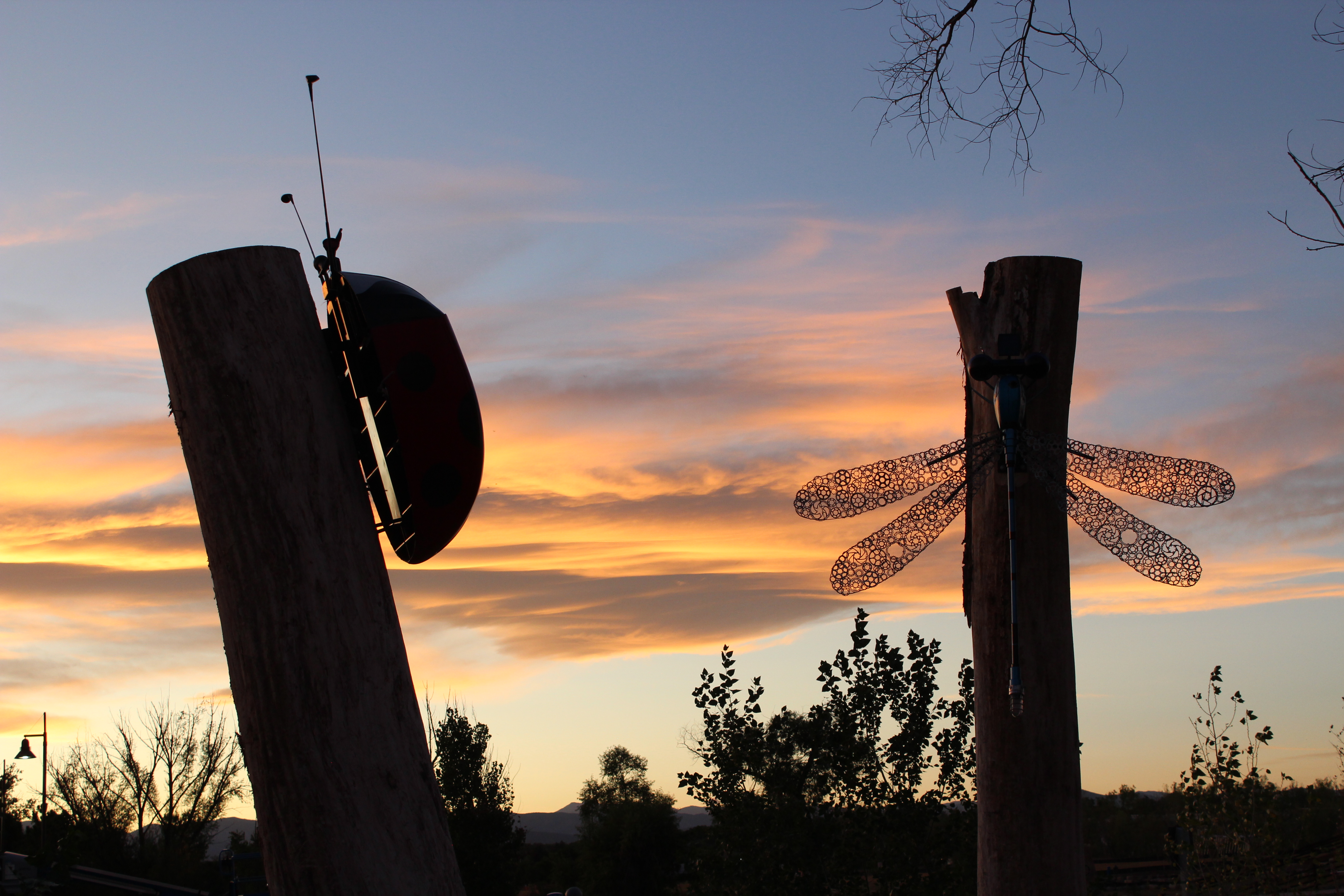 two sculptures, one of a lady bug and one of a dragonfly, are in shadow with a sunset behind them.