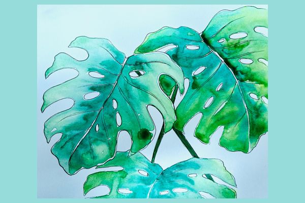 watercolor painting of monstera leaves in green and blue