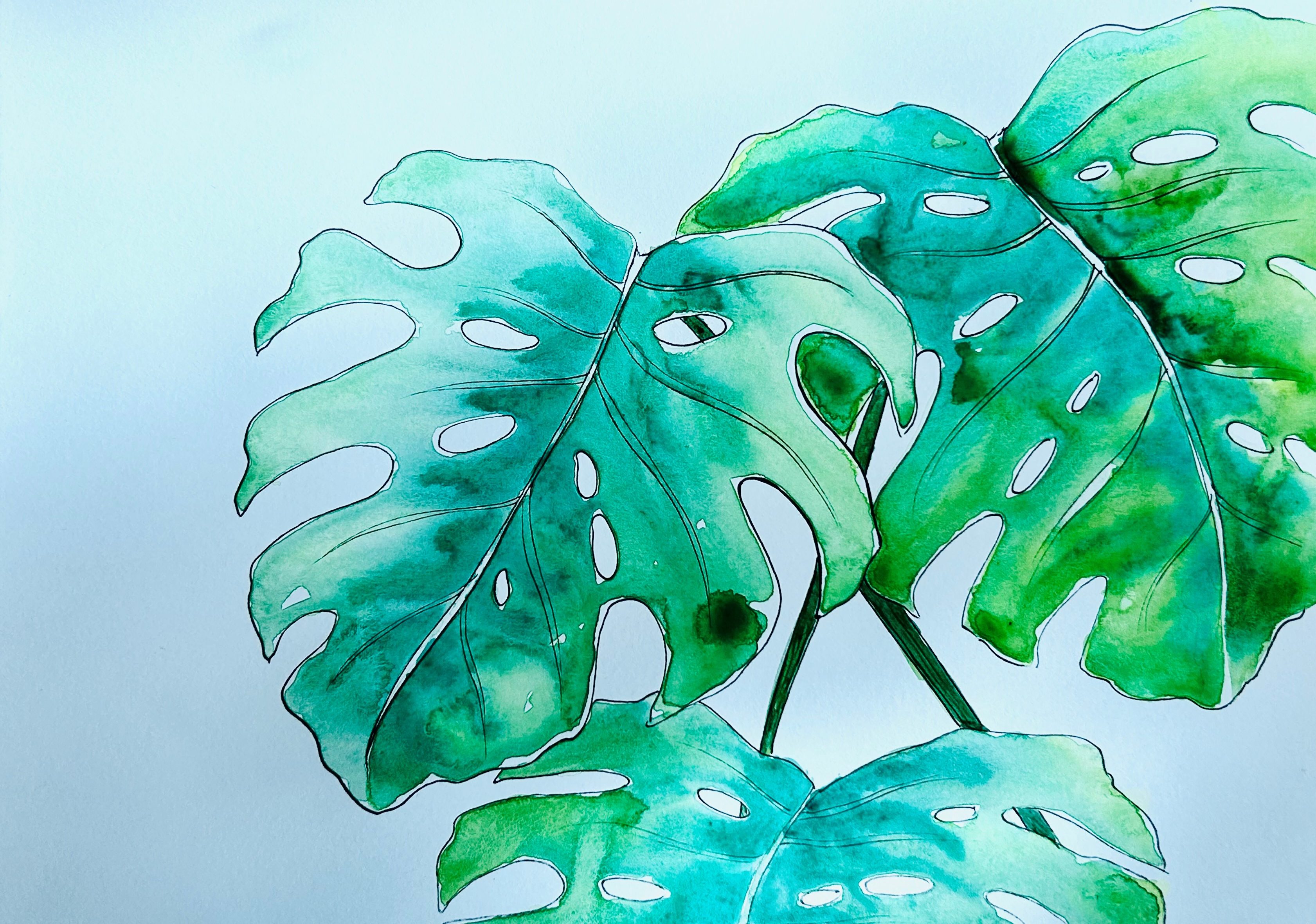 watercolor painting of monstera leaves in green and blue