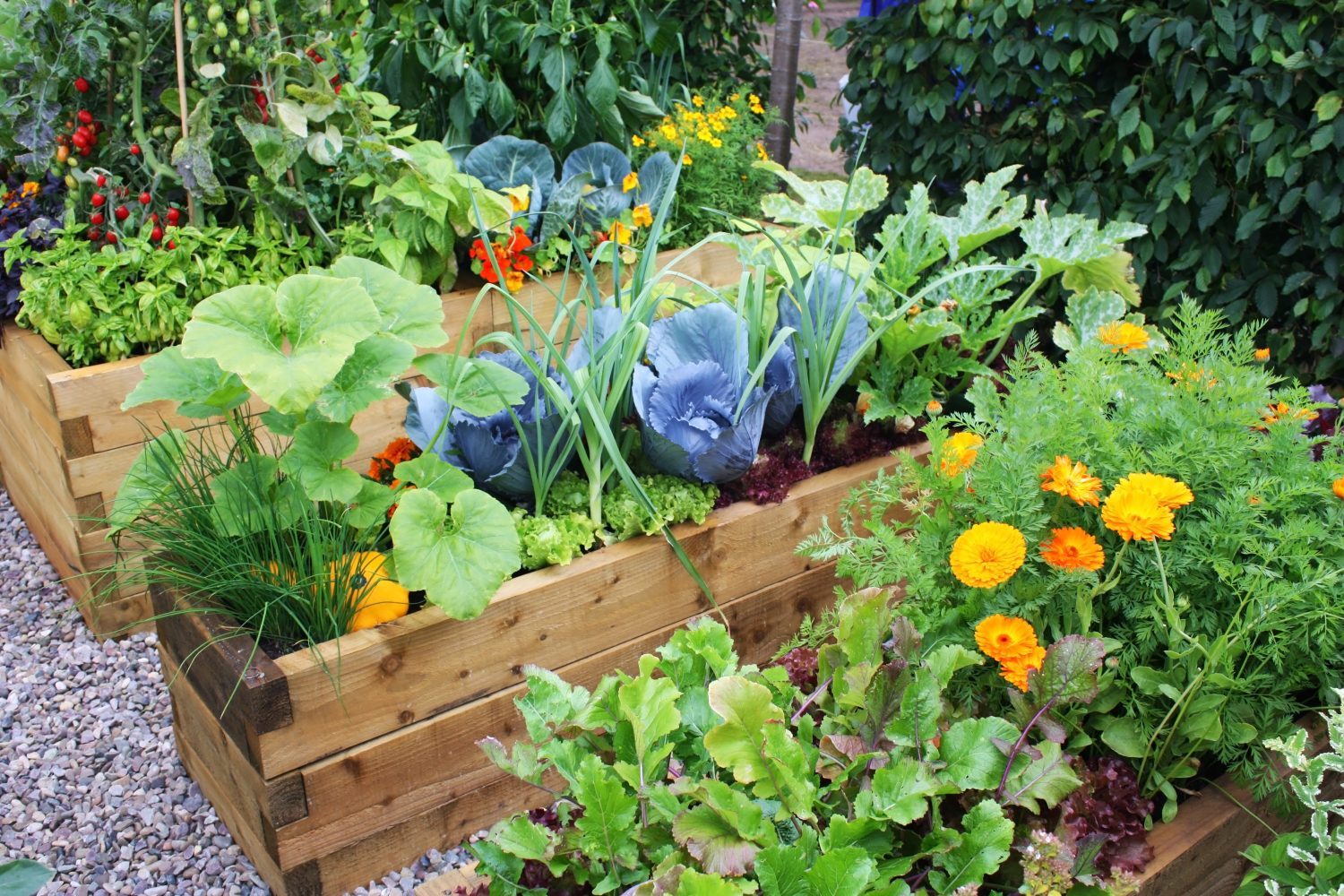 gardening