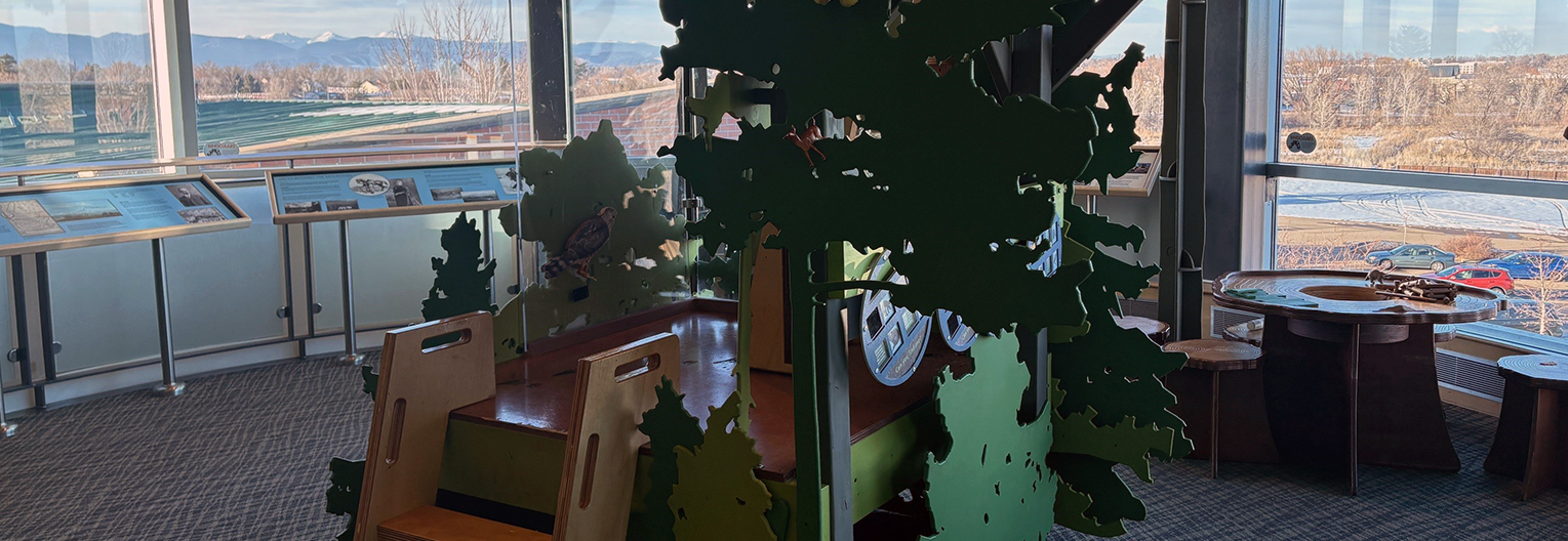 A third floor exhibit with a treehouse and views of the mountains