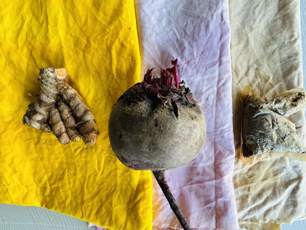 Adult Creative Exploration Series: Natural Dye