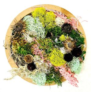 preserved moss wall art on white background
