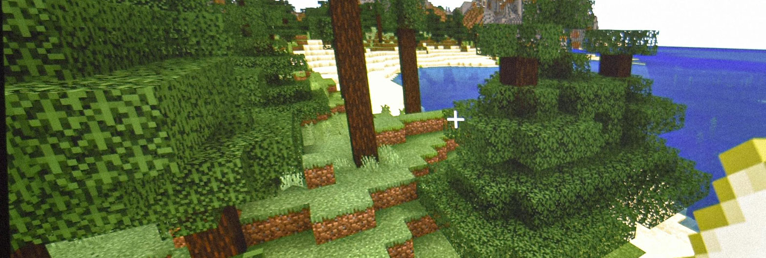 Minecraft Scavenger Hunt