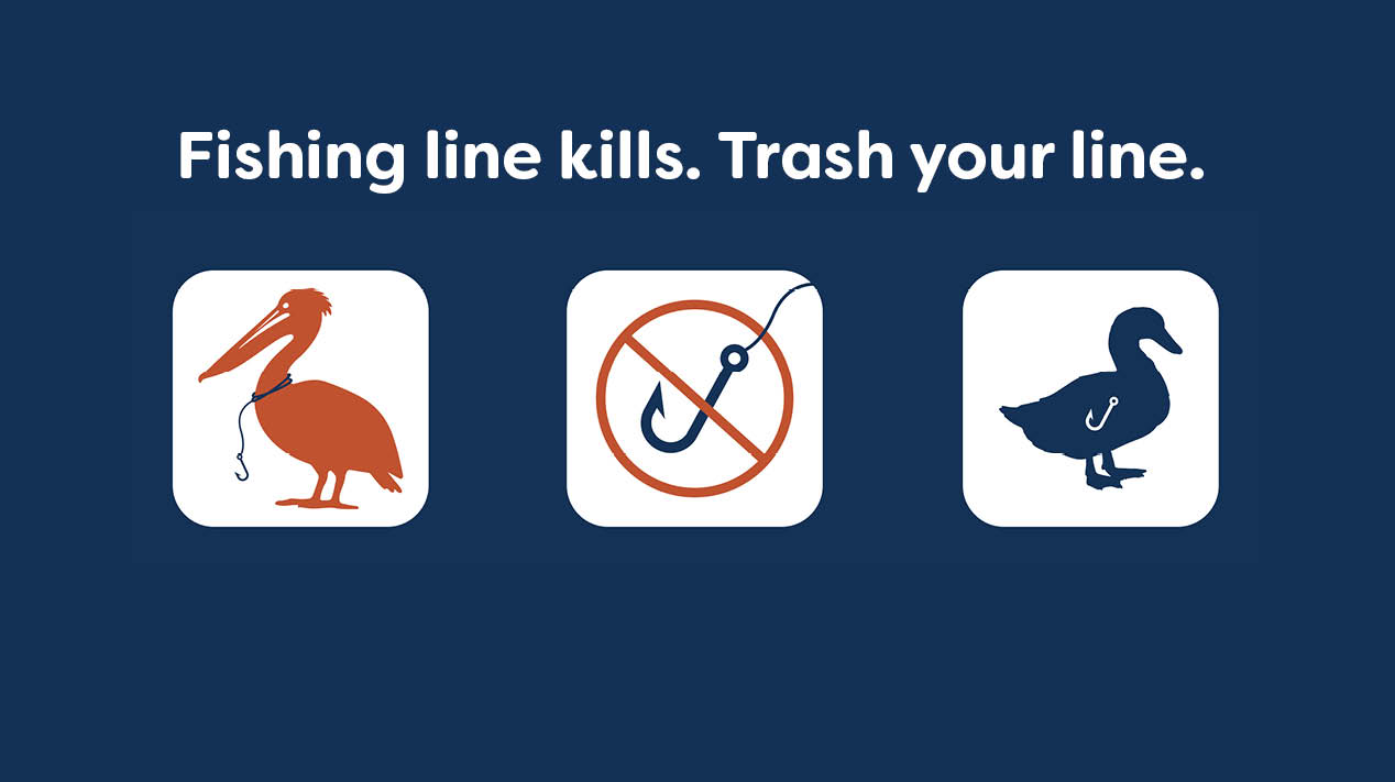Sign shows illustrations of a pelican tangled in fishing line, a "fish hook and line is prohibited" logo, and a duck with a hook in its stomach. Above the images the following text appears: "Fishing line kills. Trash your line."