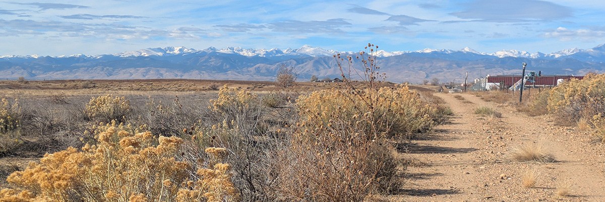 A dirt road appears to the right of some dry-looking vegetation. The rocky mountains and a bright blue sky appear in the background.