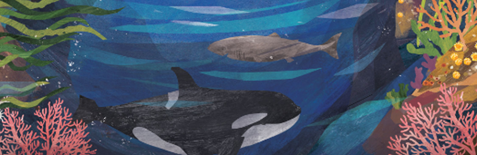cover of the children's book this is the ocean and a scene with a whale coral and underwater