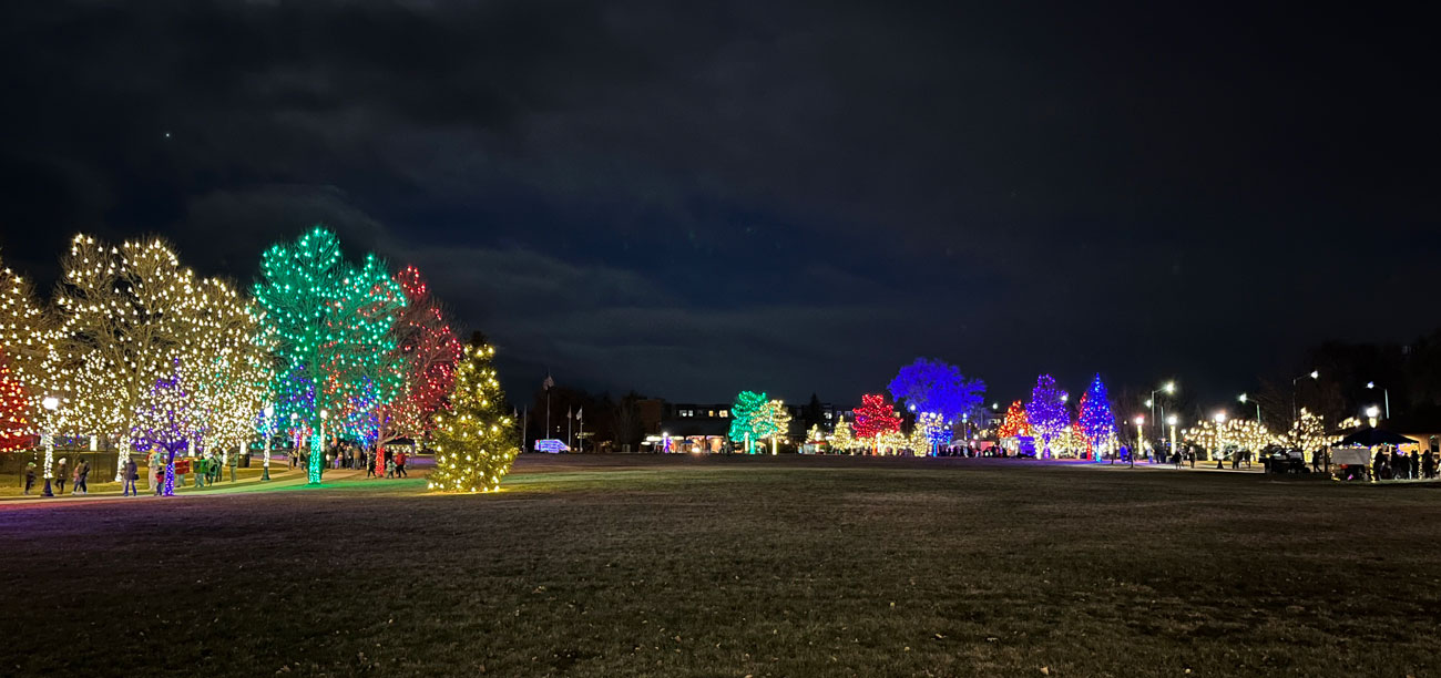 Glowing colorful holiday lights on trees in the park
