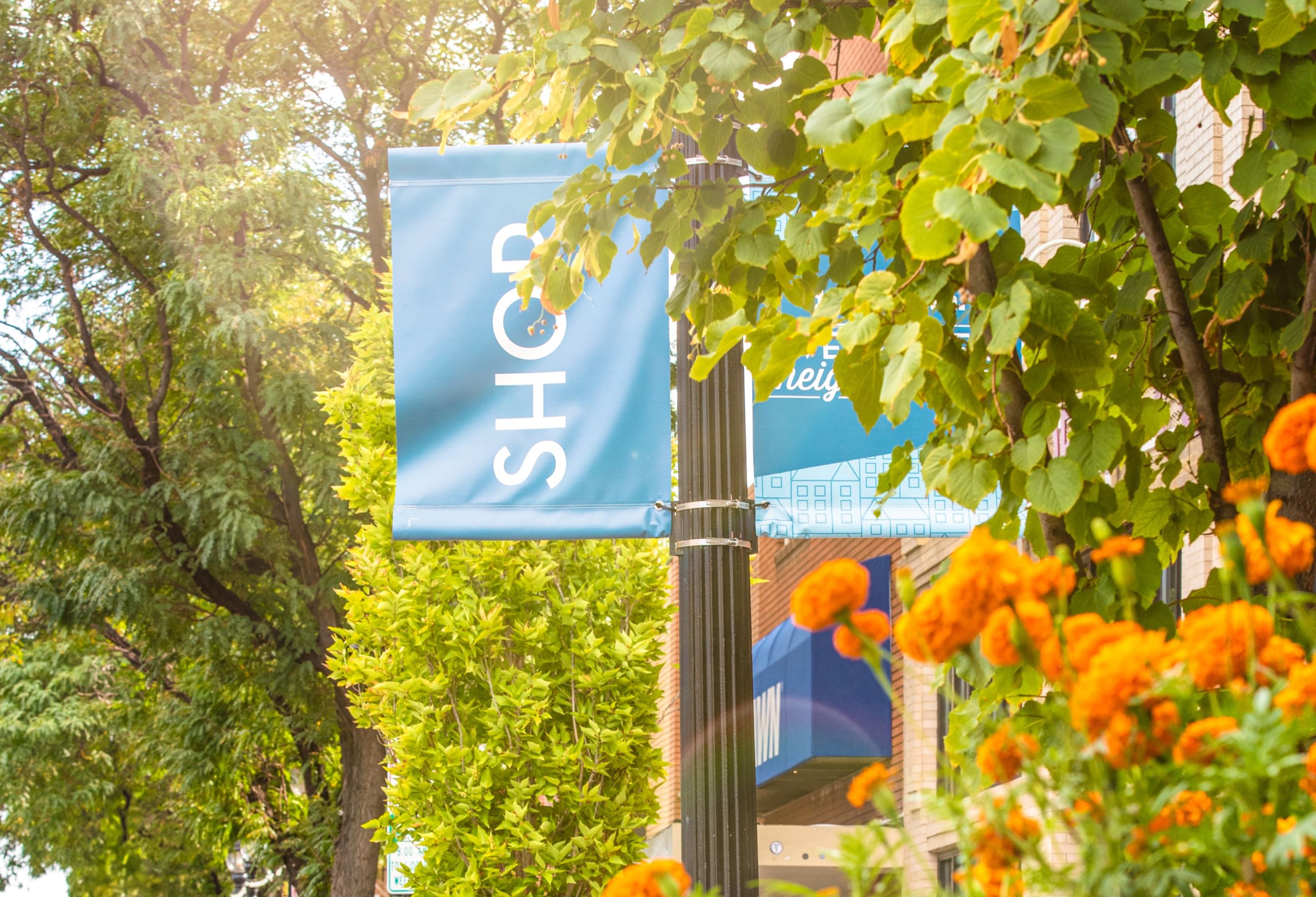 a photo of main street in Longmont with orange flowers and a banner that reads "shop"