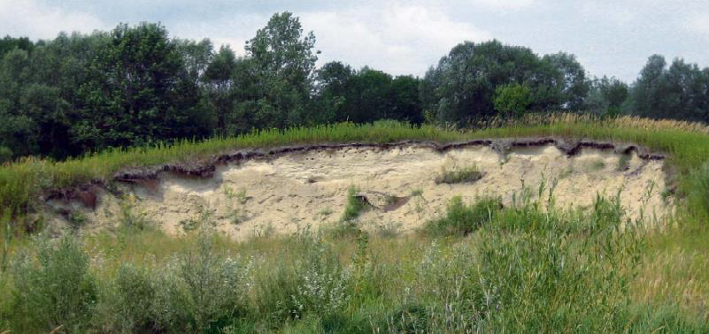 A grassy area with a steep embankment of sand with trees in the background.