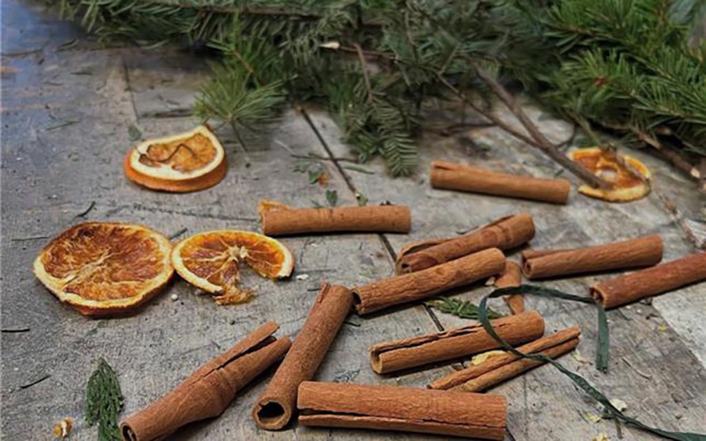 Solstice Celebration