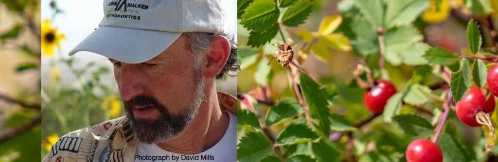 Survival Plants of Colorado Workshop with Cattail Bob