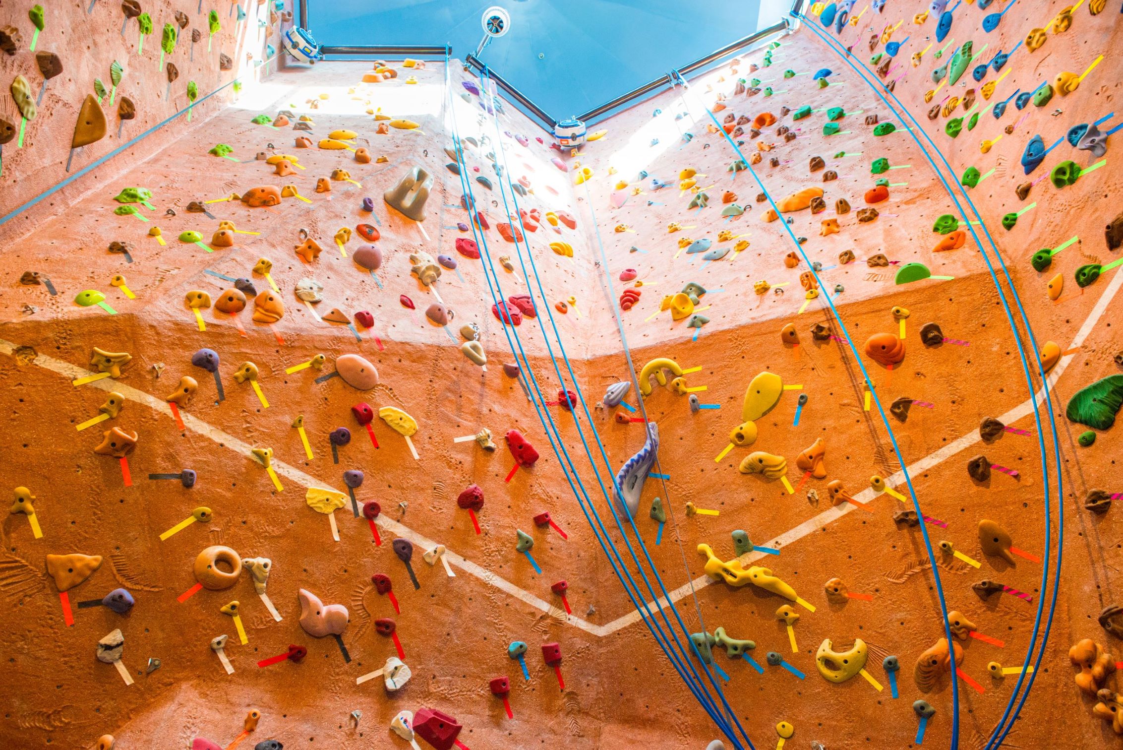 photo looking up the climbing wall at the LRC
