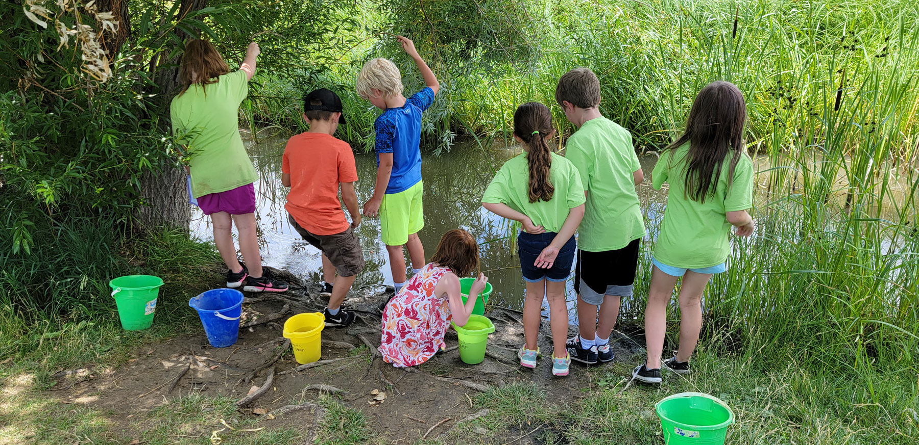 day camp kids in green t-shirts crawdad fishing next to stream with colorful buckets