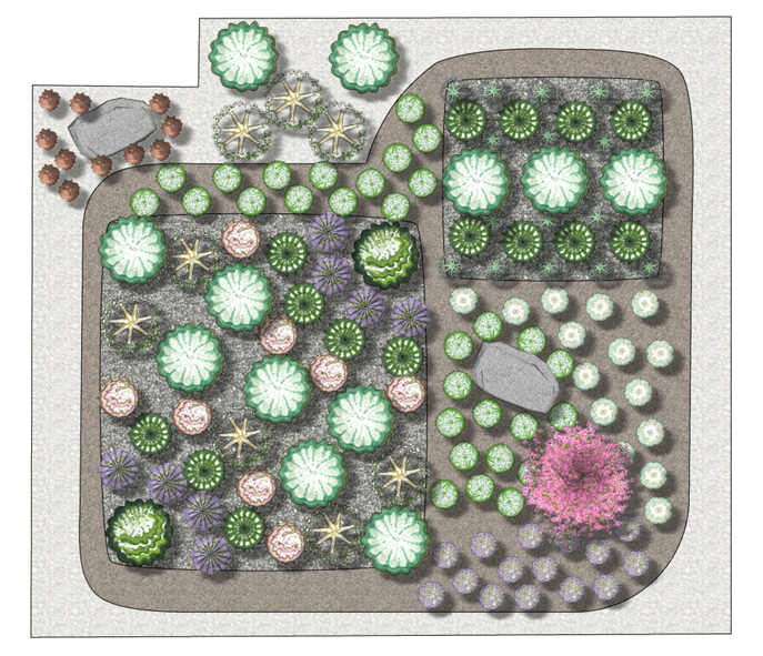 Lawn template with all waterwise plants and no grass