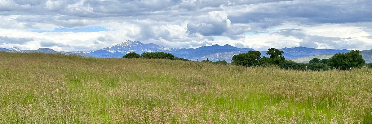 Colorado's front range is seen the distance behind grass and distant trees.